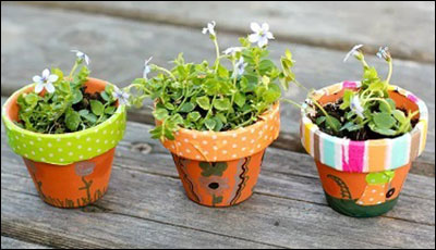 three painted terra cotta planter pots with white flowers and green leaves planted