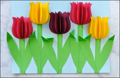 3D Tulips